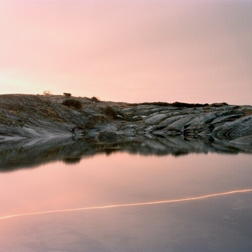 (An Overview On) An Overview On Phenomenal Nature