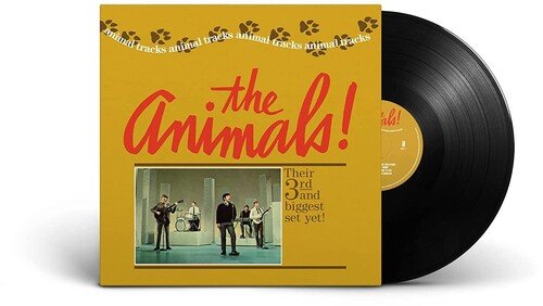Animal Tracks