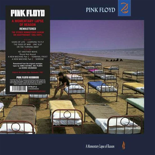 A Momentary Lapse Of Reason