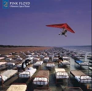 A Momentary Lapse Of Reason (Remixed & Updated)