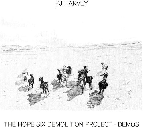 The Hope Six Demolition Project - Demos