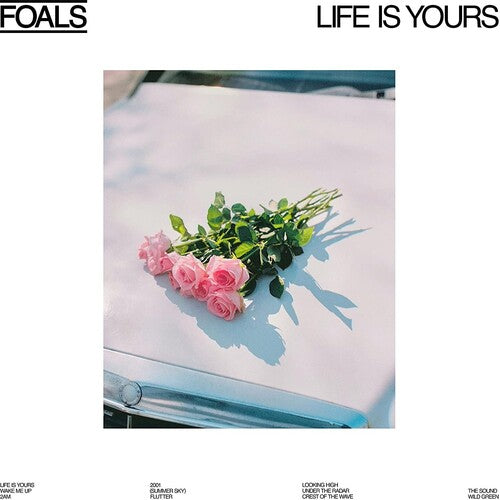 Life Is Yours