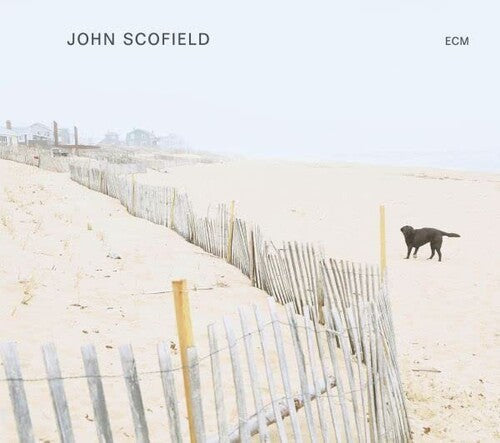 John Scofield